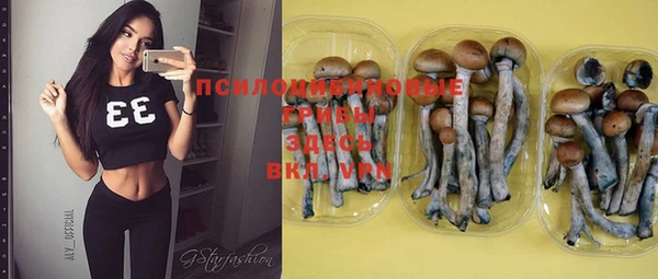 прущий лед Кукмор