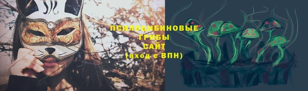 прущие крисы Кулебаки