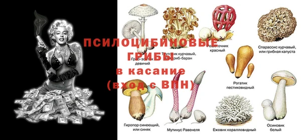 прущие крисы Кулебаки