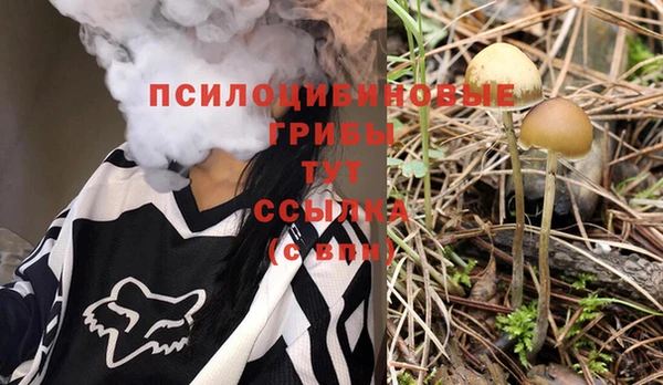 прущие крисы Кулебаки