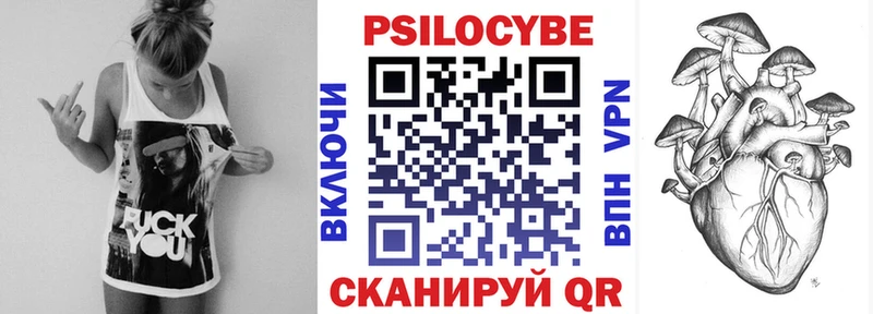 Купить  Мураши  Псилоцибиновые грибы Psilocybine cubensis 